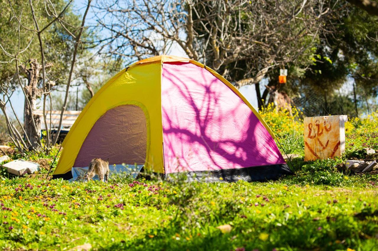 Hotel Camping Panorama Ouazzane Exteriér fotografie
